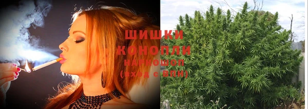 spice Дмитровск
